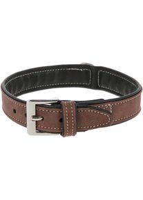 KERBL Pet California Halsband, braun, 25mm, 37-43cm