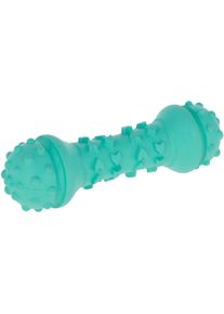 KERBL Pet ToyFastic Kauspielzeug, türkis, Hantel
