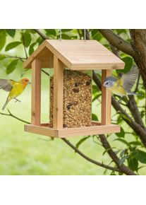 Wild Bird Food 20 kg, Premium Shell Free, Bird Seed, No Mess, Sunflower Seeds