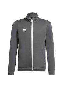 Adidas, Unisex, Laufjacke, Entrada 22 Trainingsjacke Kinder (176), Grau, 176