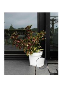 Garden ID, Blumentopf, Selbstbewässernder Blumentopf