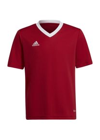 adidas, Mädchen, Sportshirt, Entrada 22 Jsy Jr T-Shirt (176), Weiss, Blau, 176