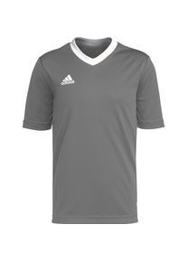 adidas, Mädchen, Sportshirt, Entrada 22 Jsy Jr T-Shirt (176), Weiss, Blau, 176