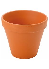 Siena Garden, Blumentopf, Blumentopf (10 cm)