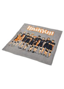 Haikyu!! - Manta Suave del Equipo