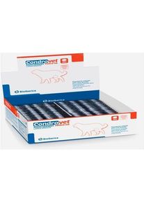 Bioiberica Condrovet Force HA (Hund, 360 ml), Tierpflegemittel