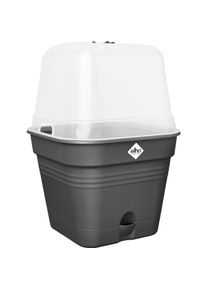 Elho, Anzuchttöpfe + Anzuchtschalen, Green Basics Anzuchttopf Quadrat Allin1