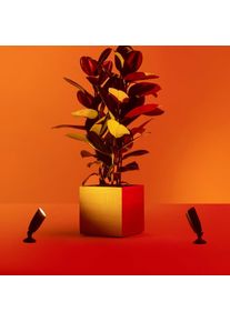 WIZ Ground Projecteur LED, 8720169071599,