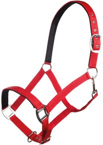 HKM Charming Halfter, weich unterlegt, kirschrot, Warmblut