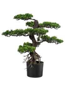 P & B Kunstpflanze, Gr&uuml;n, Kunststoff, 75 cm, inkl. Topf, Dekoration, Blumen & Blument&ouml;pfe, Kunstpflanzen