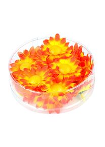Widmann BOX MIT 20 DEKOBLUMEN - ORANGE