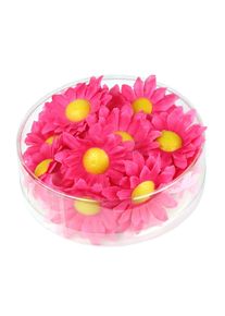 Widmann BOX MIT 20 DEKOBLUMEN - PINK