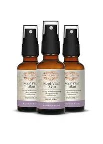 Bärbel Drexel Kopf Vital Akut Spray