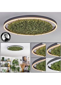 hofstein Dorel Plafonnier LED Vert, Blanc, 1 lumi&egrave;re