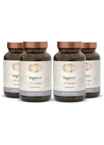 Bärbel Drexel Ingwer Presslinge