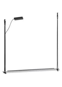 Eglo Led-Hängeleuchte , Schwarz , Metall, Glas , länglich , F , 16x116x116 cm , höhenverstellbar , Lampen & Leuchten, Leuchtenserien