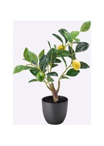 Gasper, Kunstpflanze, gr&uuml;n-gelb, Kunststoff, B/H/L: 36 cm x 50 cm, gr&uuml;n-gelb