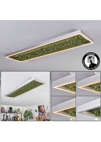 hofstein Dorel Plafones LED Verde, Plata, Blanca, 1 luz