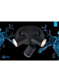 Briloner Leuchten LED Deckenspot »BANYO« in schwarz