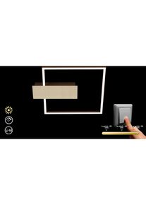 Briloner Leuchten LED Deckenleuchte »NICO« in schwarz