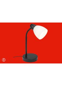 Briloner Leuchten LED Tischleuchte »MASANI«