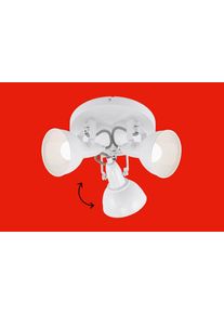 Briloner Leuchten LED Deckenspot »Soft« in weiß