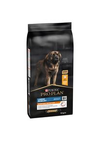 Purina 14kg Large Robust Adult, poulet PRO PLAN - Croquettes pour chien