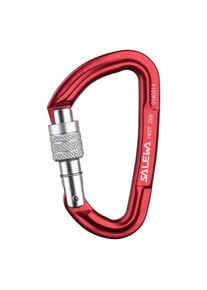 Salewa Hot G3 Screw Carabiner - Karabiner