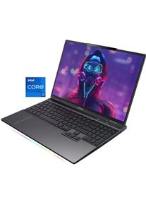 Captiva Gaming-Notebook »Advanced Gaming I88-127IT«