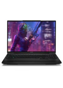 Captiva Gaming-Notebook »Highend Gaming I86-497«