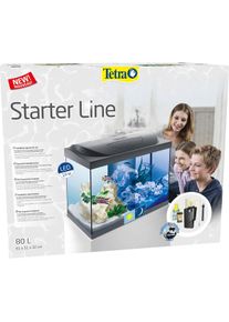 Tetra Starter Line LED Aquarium 80L schwarz
