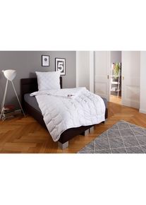 my home , Microfaserbettdecke »Fantasy, Bettdecke 135x200 cm, 155x220 cm, 200x200 cm, 200x220 cm« 4-Jahreszeiten Füllung aus recycelten Polyester 1...