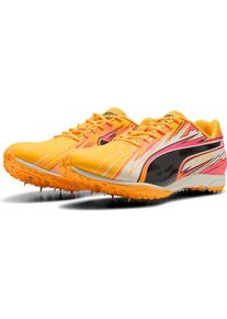 Puma, Herren, Sneakers, evoSPEED Haraka Sparked, (12)