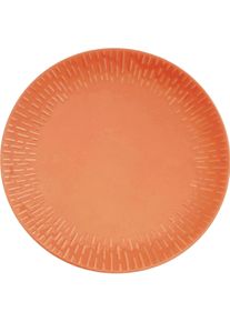 Aida Life in Colour - Confetti Apricot dinner plate w/relief porcelain (13323), Teller, Mehrfarbig