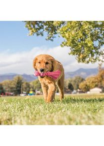 Kong Hundespielzeug Wubba Puppy 21cm