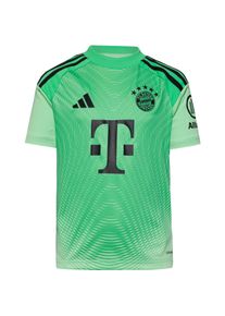 Adidas FC Bayern M&uuml;nchen 25-26 Teamtrikot Kinder - Gr&ouml;&szlig;e 164 - gr&uuml;n
