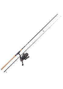 Balzer Combo MK Aalpicker Aal-Kombo 2,75m 40-120g | Raubfisch Angelset