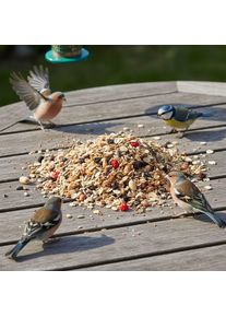 Comida para pajaros silvestres 20kg, sin cascara, alimento para aves silvestres