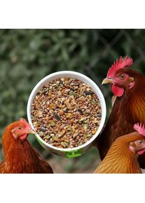 Pienso gallinas 25 kg, alimento para gallinas, pienso para pollos, comida para patos, pienso para aves, comida para ocas, pienso para gansos