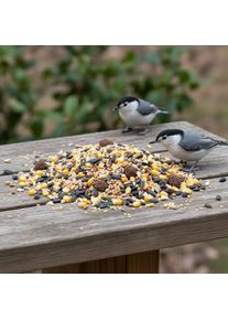 Comida para pájaros 10 kg, alpiste para pajaros, mixtura pajaros
