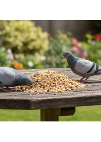 Comida para palomas 25kg, Mixtura universal para palomas