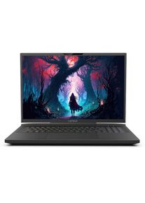Captiva , Gaming-Notebook »Ultimate Gaming I87-193CH« , ohne Farbbezeichnung , ohne Windows, Schweizer Tastatur Layout
