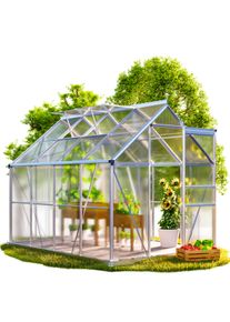 Gardebruk Alu Gewächshaus 250x190x195cm mit Fundament
