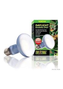 EXO TERRA - Daylight Basking Spot 100W R25 E27 Green - (220.2730)