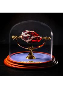 Harry Potter La Pierre Philosophale - The Noble Collection