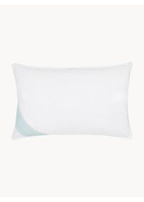 Papl&oacute;n z p&aacute;peria a peria Comfort, stredn&yacute; Tyrkysov&aacute;, Biela Bavlna, P&aacute;perie, Perie, L&aacute;tka &Scaron; 50 x D 80 cm | Westwing Collection