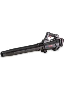 Al-Ko, Laubsauger + Laubbl&auml;ser, Lb 1860 Set (Akkubetrieb, Laubbl&auml;ser)