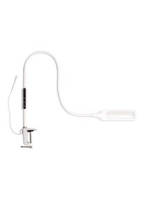 Lumina Table Lamp