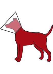 Trixie Kunststoff Schutzkragen mit Klettverschluss, M, 36–43cm/18cm