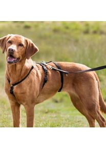 Trixie Stay Panikgeschirr, 44&ndash;60cm/15mm, schwarz, S&ndash;M